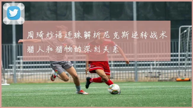 周琦妙语连珠解析尼克斯逆转战术猎人和猎物的深刻关系