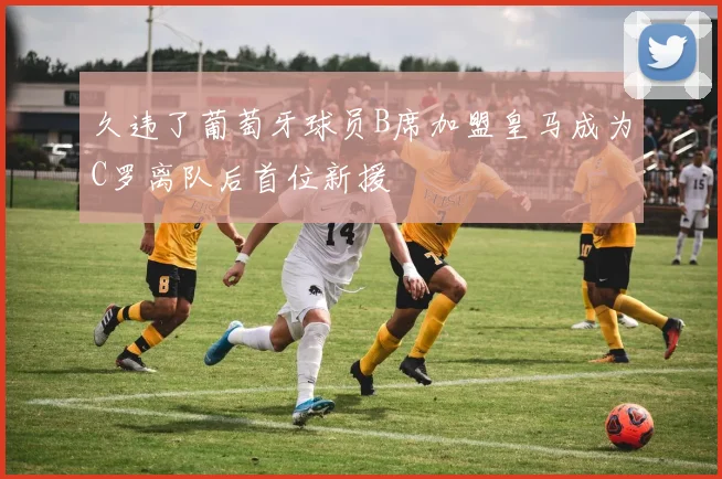 久违了葡萄牙球员B席加盟皇马成为C罗离队后首位新援
